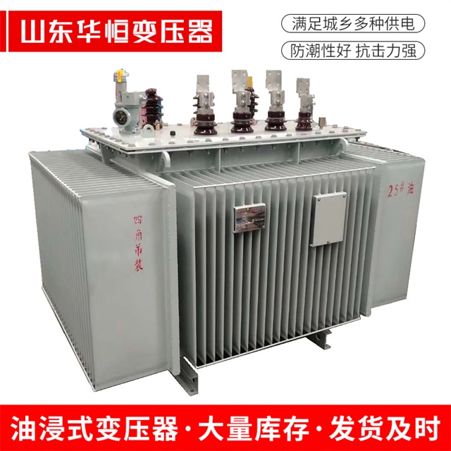 S13-10000/35尼玛尼玛尼玛电力变压器厂家