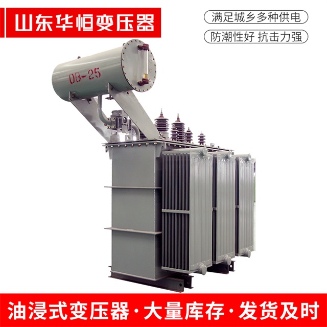 S11-10000/35尼玛尼玛尼玛电力变压器厂家