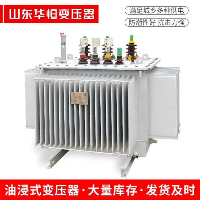 S13-10000/35尼玛尼玛尼玛电力变压器